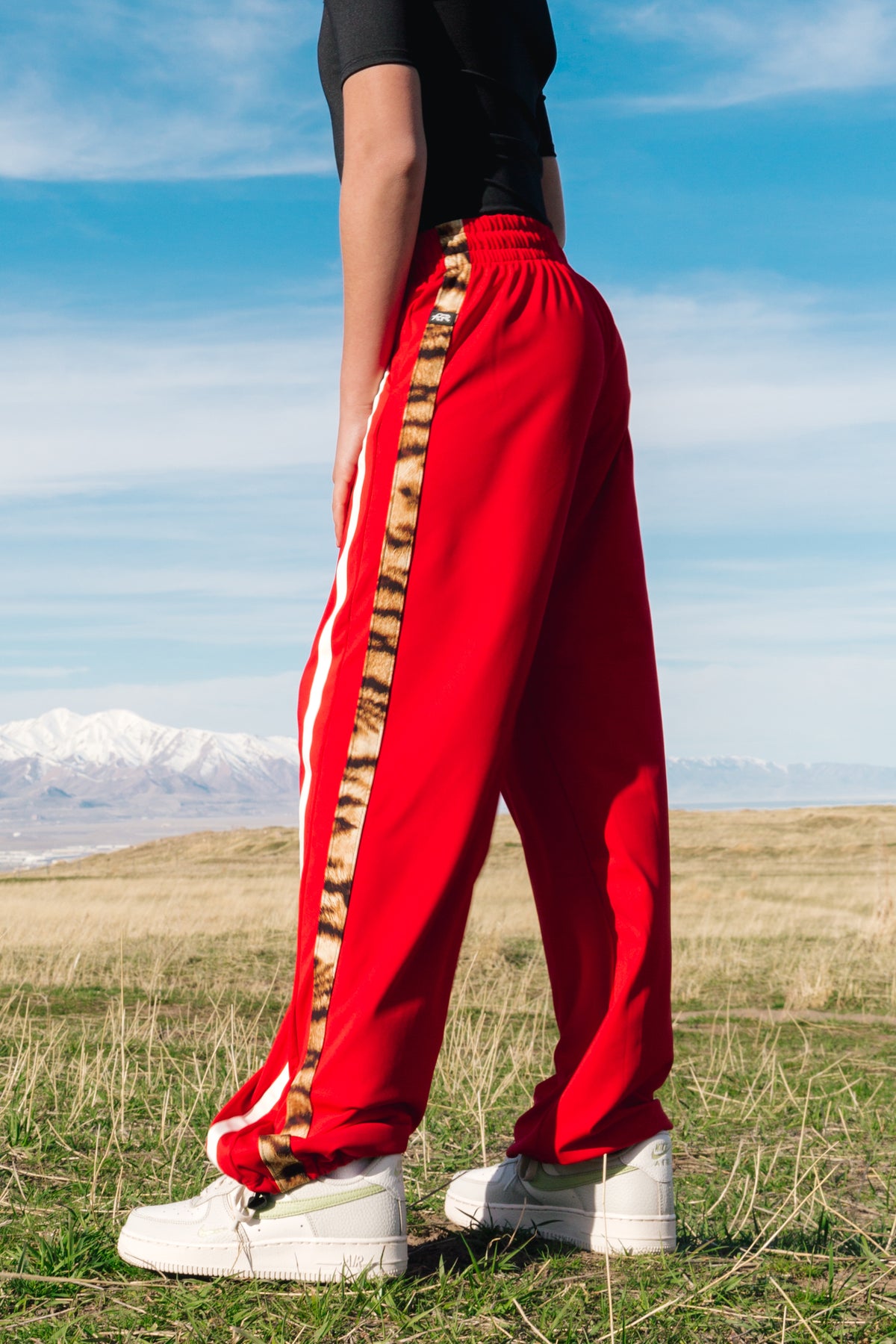 Joker Track Pants - Tigris