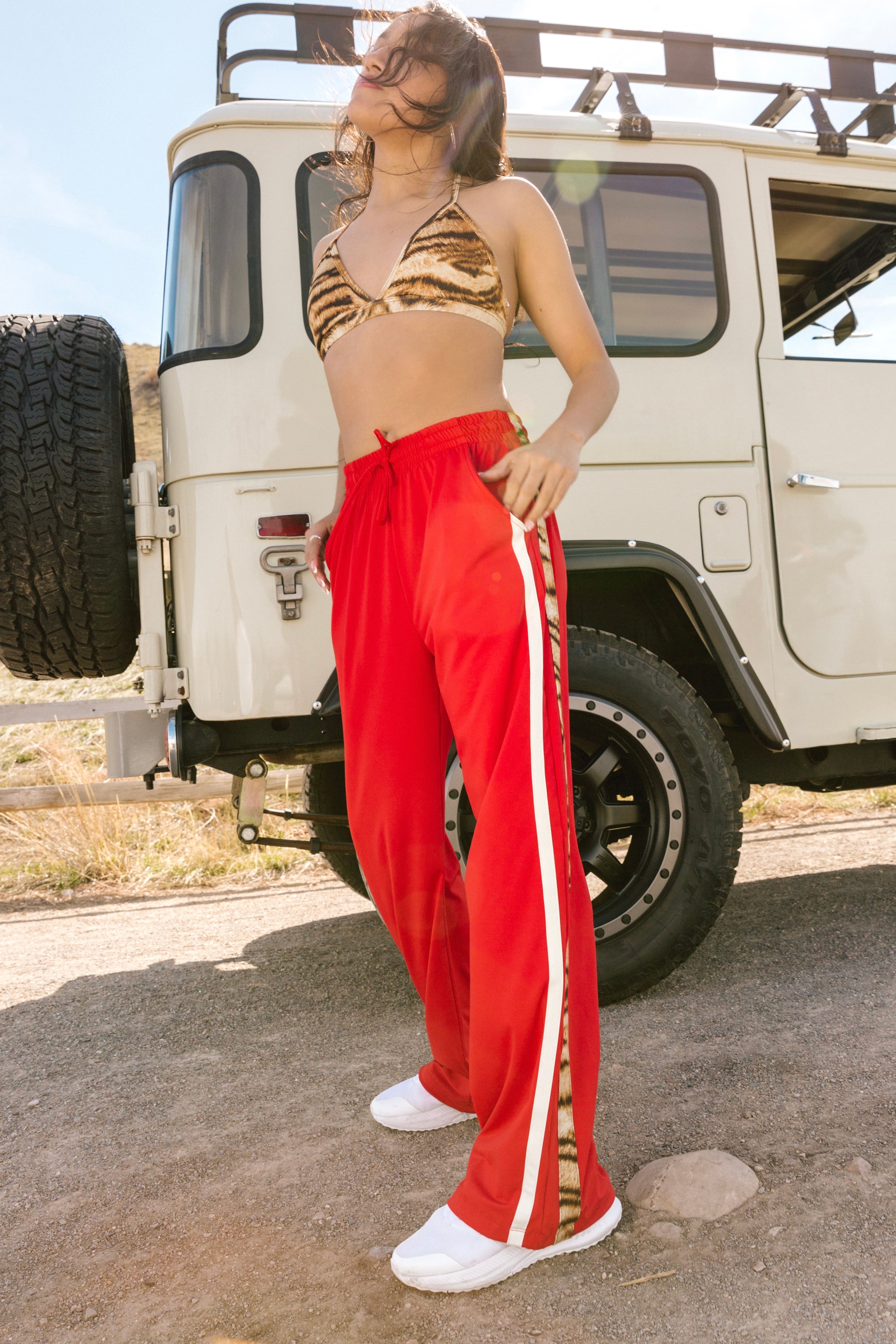 Joker Track Pants - Tigris