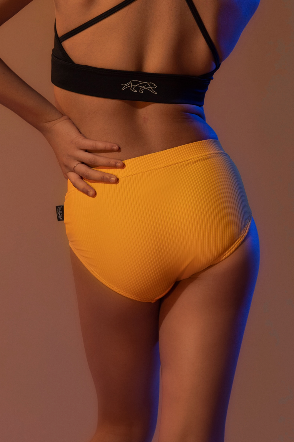 Tiger Friday Online Shop for Go2 Ribbed Briefs - Marigold Dancewear - View : 5