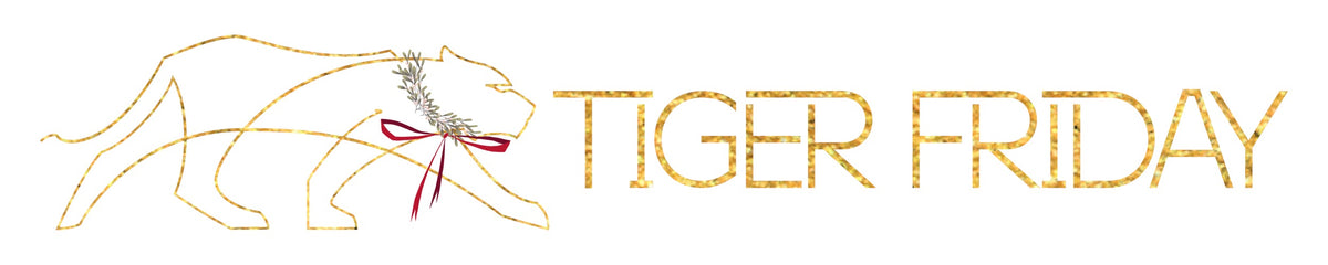 Go2 Briefs - Lollipop  Tiger Friday Dancewear – TigerFriday