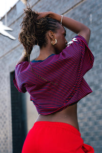 South Carolina Cropped Tee - Red Stripe