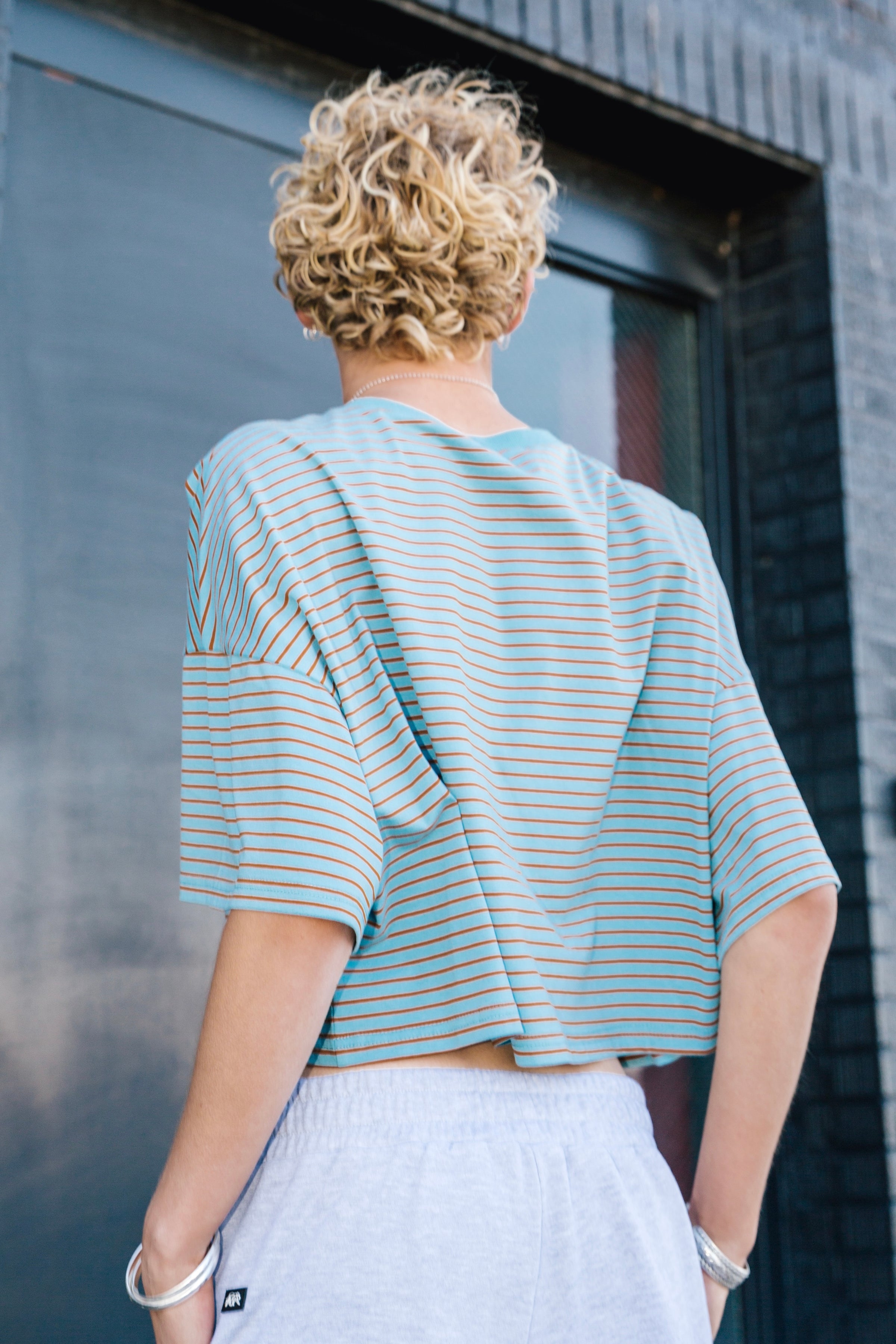 South Carolina Cropped Tee - Blue Stripe