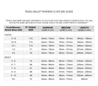 Tendu Ballet Training Flats