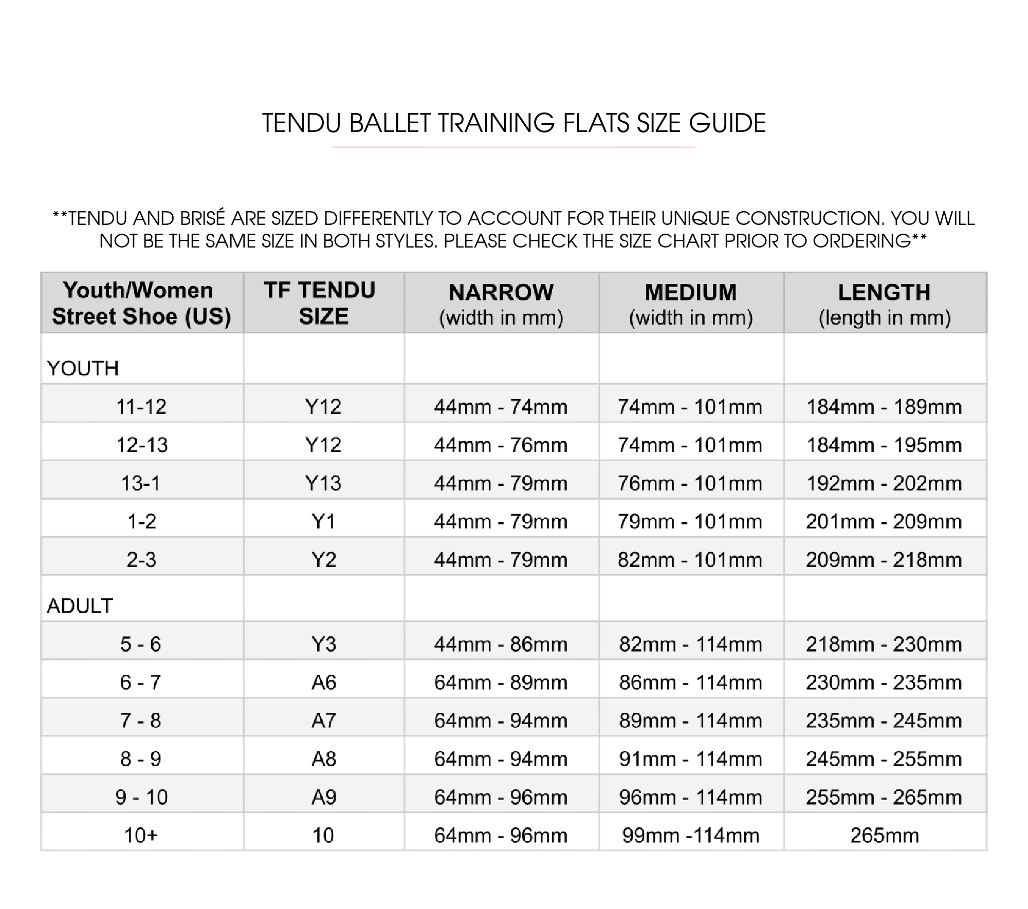 Tendu Ballet Training Flats