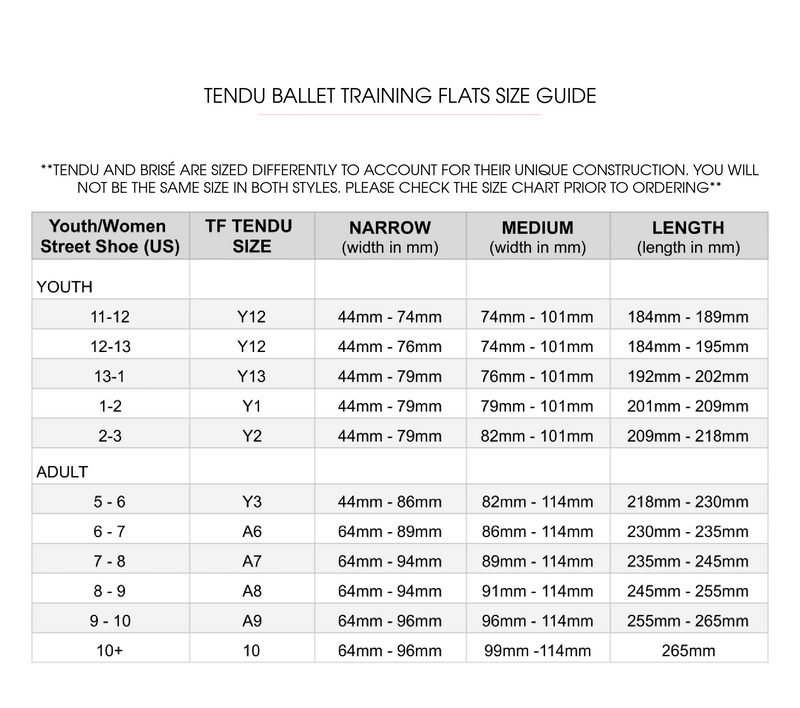 Tendu Ballet Training Flats